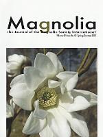 Magnolia forside