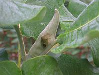 07-10-05canon_001