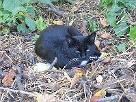 11-10-05canon_019