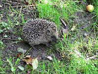 26-09-2007_12-14-54_05