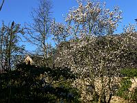 2009-04-18_07-13-12_0059