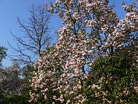 2009-04-30_07-17-05_0107