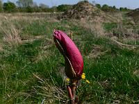 2011-04-25_16-26-49_0030
