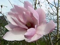 2009-04-15_14-01-28_0009