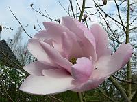 2009-04-15_14-01-53_0012