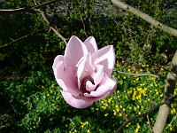 2009-04-18_14-19-10_0016