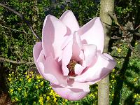 2009-04-18_14-24-09_0037