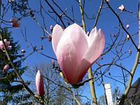 2009-04-18_14-28-46_0067