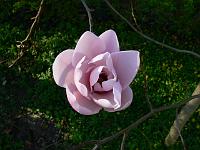 2009-04-18_17-04-07_0001
