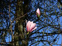 2009-04-19_07-19-13_0001