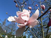 2009-04-19_12-18-15_0195