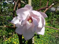 2009-04-20_14-27-18_0126