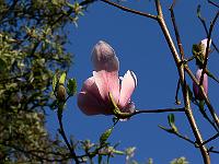 2009-04-21_07-27-06_0067