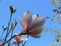 2009-04-21_16-47-20_0027