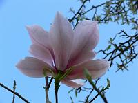 2009-04-21_16-48-51_0039