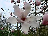 2009-04-22_17-28-02_0033