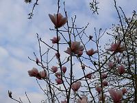 2009-04-22_17-28-10_0036