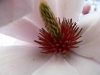 2009-04-22_17-29-05_0045