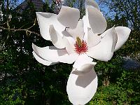 2009-04-25_14-42-28_0054