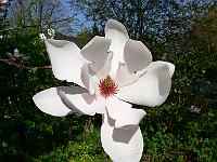 2009-04-25_14-42-47_0057