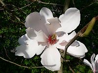2009-04-25_14-44-38_0072