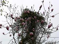 2010-05-03_12-24-37_0095