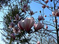 2010-05-05_17-25-47_0085