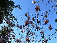 2010-05-05_17-25-55_0088