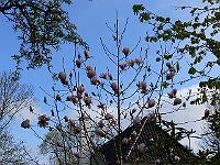 2010-05-06_07-55-54_0006