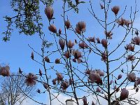 2010-05-06_07-56-08_0009