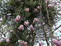 2010-05-06_07-56-57_0013