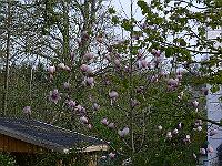 2010-05-06_07-59-45_0038