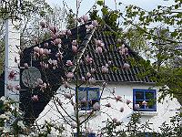 2010-05-06_08-00-39_0043