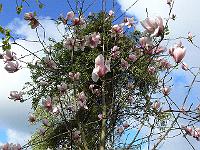 2010-05-10_08-01-01_0014