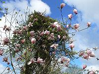 2010-05-10_08-01-17_0017