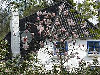 2010-05-10_08-05-36_0053