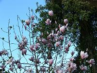 2010-05-11_07-14-14_0024
