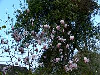 2010-05-11_07-14-30_0025