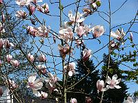 2010-05-11_12-21-24_0006