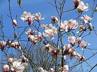 2010-05-11_12-21-53_0009