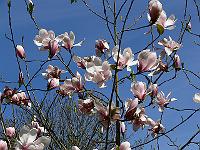 2010-05-11_12-22-03_0011