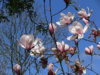 2010-05-11_12-22-49_0017