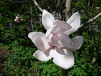 2010-05-11_12-23-43_0026