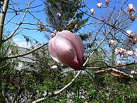 2010-05-11_12-24-13_0030
