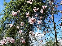2010-05-11_12-24-26_0031