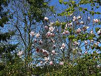 2010-05-11_12-27-46_0059