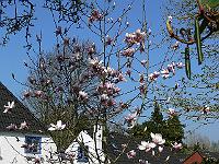 2011-04-20_14-52-56_0100