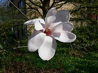 2011-04-20_14-54-06_0109
