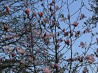 2011-04-20_17-57-30_0012