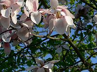 2011-04-25_16-54-32_0120